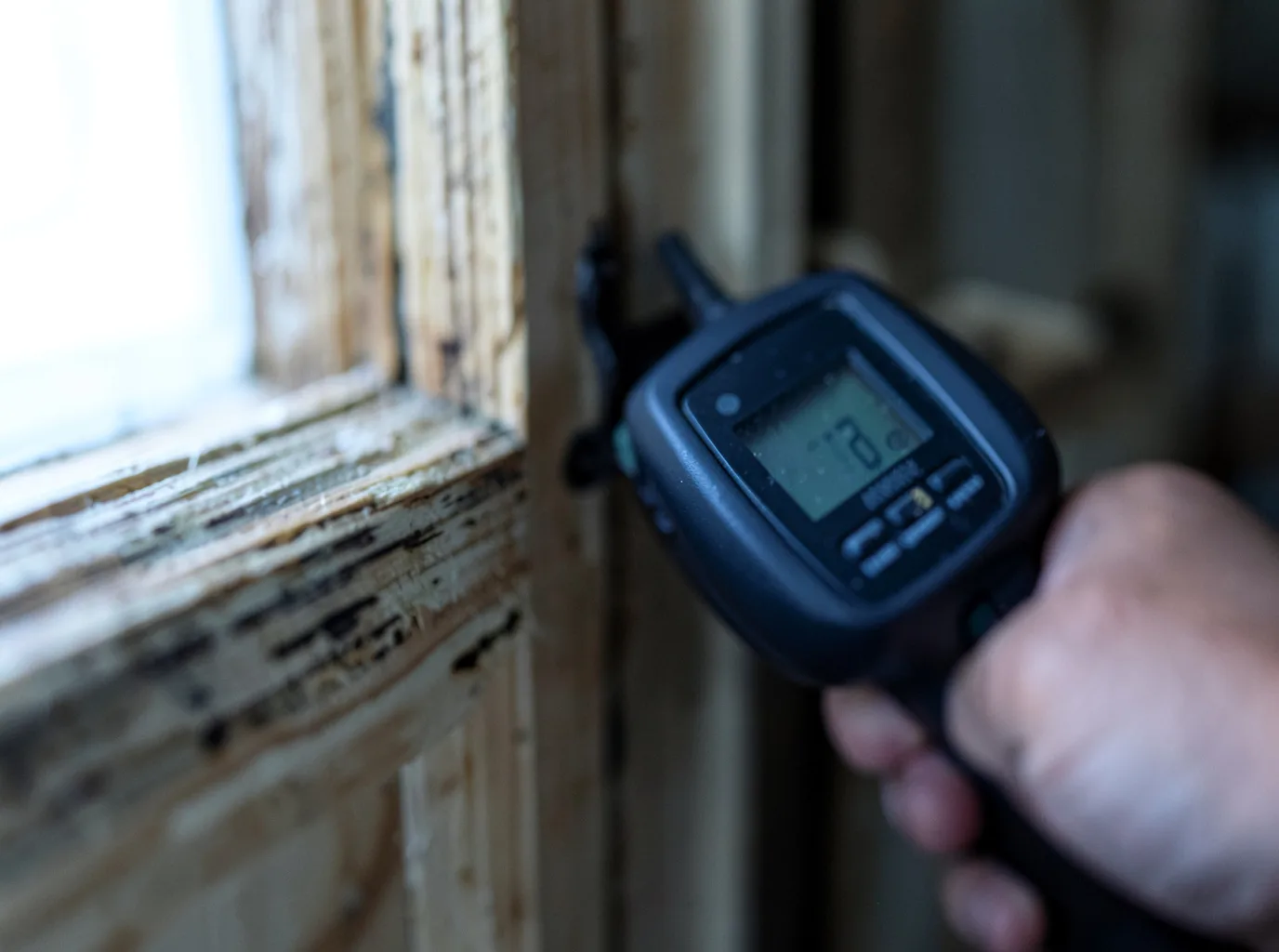 Moisture Inspection And Documentation in Rock Hall, MD